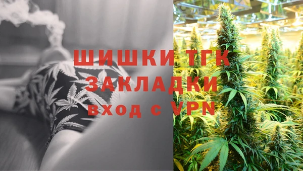 крисы Медногорск