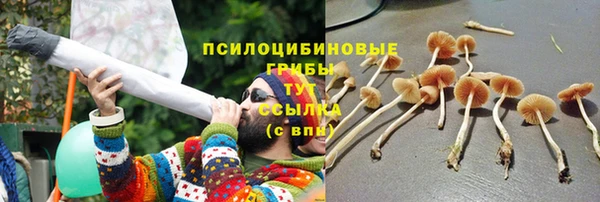 крисы Медногорск
